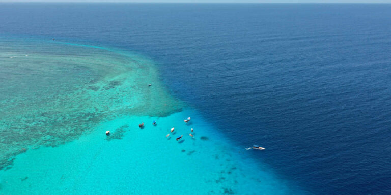Mnemba Atoll Marine Park